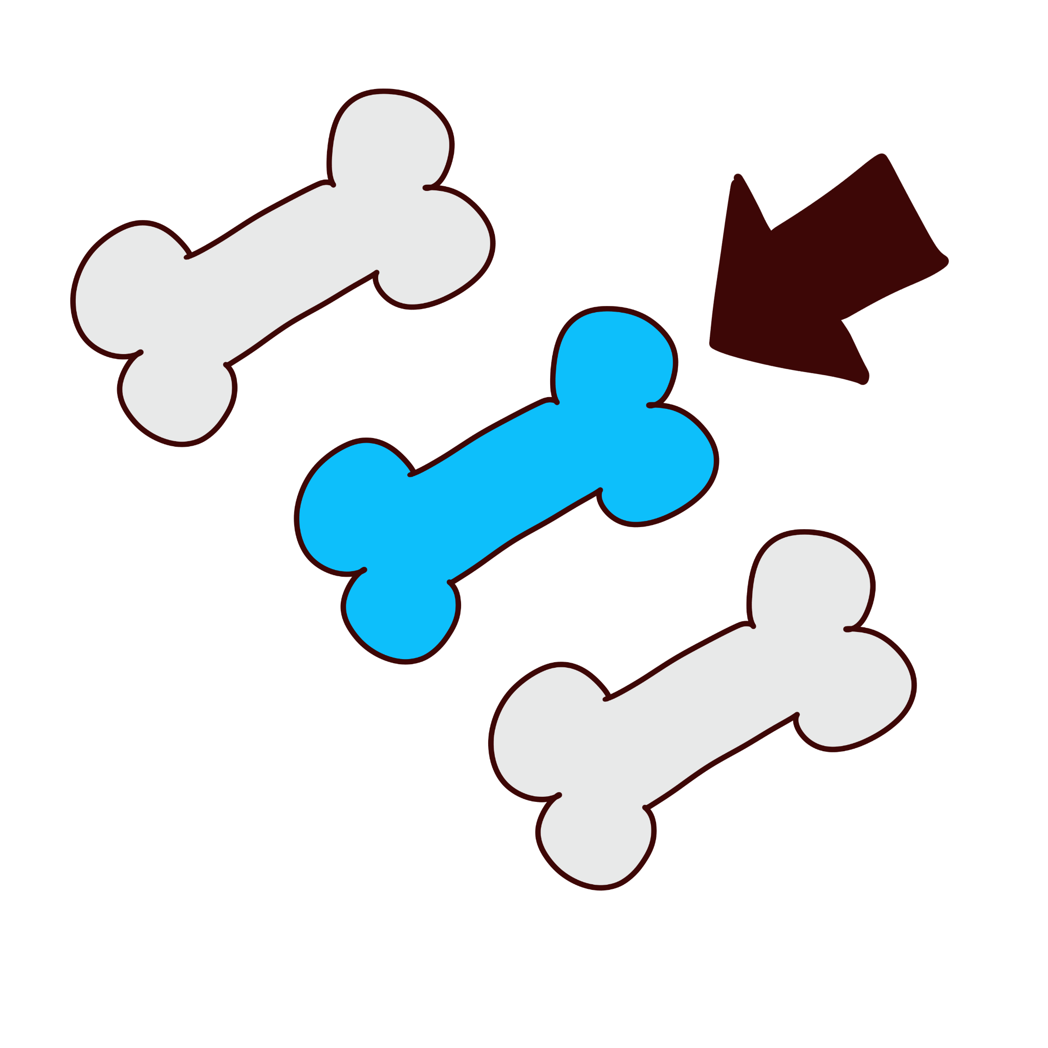 a black arrow pointing to a blue bone between two white bones